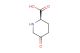 (2R)-5-oxopiperidine-2-carboxylic acid