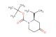 tert-butyl (2R)-4-oxo-2-(propan-2-yl)piperidine-1-carboxylate