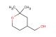 (2,2-dimethyloxan-4-yl)methanol