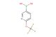 [6-(trifluoromethoxy)pyridin-3-yl]boronic acid