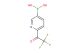 [6-(trifluoroacetyl)pyridin-3-yl]boronic acid