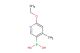 (6-ethoxy-4-methylpyridin-3-yl)boronic acid