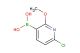 (6-chloro-2-methoxypyridin-3-yl)boronic acid