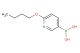 (6-butoxypyridin-3-yl)boronic acid