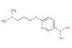 (6-(3-(dimethylamino)propoxy)pyridin-3-yl)boronic acid
