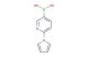 [6-(1H-pyrrol-1-yl)pyridin-3-yl]boronic acid