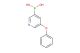 (5-phenoxypyridin-3-yl)boronic acid