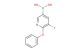 (5-fluoro-6-phenoxypyridin-3-yl)boronic acid