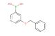 [5-(benzyloxy)pyridin-3-yl]boronic acid