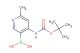 4-[(tert-butoxycarbonyl)amino]-6-methylpyridine-3-boronic acid