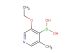 (3-ethoxy-5-methylpyridin-4-yl)boronic acid