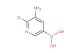 (5-amino-6-chloropyridin-3-yl)boronic acid