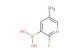 (2-fluoro-5-methylpyridin-3-yl)boronic acid