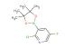 2-chloro-5-fluoro-3-(tetramethyl-1,3,2-dioxaborolan-2-yl)pyridine