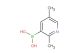 (2,5-dimethylpyridin-3-yl)boronic acid