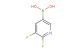 (5,6-difluoropyridin-3-yl)boronic acid