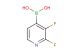 (2,3-difluoropyridin-4-yl)boronic acid