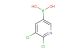 (5,6-dichloropyridin-3-yl)boronic acid