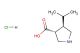 (3R,4R)-4-(propan-2-yl)pyrrolidine-3-carboxylic acid hydrochloride