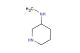 N-methylpiperidin-3-amine
