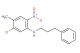 5-chloro-4-methyl-2-nitro-N-(3-phenylpropyl)aniline