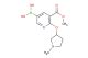 [5-(methoxycarbonyl)-6-[(1-methylpyrrolidin-3-yl)oxy]pyridin-3-yl]boronic acid