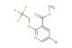 methyl 5-bromo-2-(2,2,2-trifluoroethoxy)pyridine-3-carboxylate