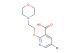 5-bromo-2-[2-(morpholin-4-yl)ethoxy]pyridine-3-carboxylic acid
