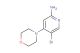 5-bromo-4-(morpholin-4-yl)pyridin-2-amine
