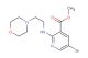 methyl 5-bromo-2-((2-morpholinoethyl)amino)nicotinate