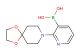 (2-(1,4-dioxa-8-azaspiro[4.5]decan-8-yl)pyridin-3-yl)boronic acid