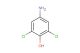 4-amino-2,6-dichlorophenol