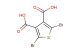 dibromothiophene-3,4-dicarboxylic acid