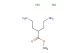 methyl 4-amino-2-(2-aminoethyl)butanoate dihydrochloride