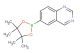 6-(4,4,5,5-tetramethyl-[1,3,2]dioxaborolan-2-yl)-quinazoline