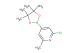 2-chloro-6-methyl-4-(4,4,5,5-tetramethyl-1,3,2-dioxaborolan-2-yl)pyridine