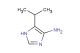 5-isopropyl-1H-imidazol-4-amine