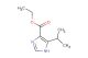 ethyl 5-isopropyl-1H-imidazole-4-carboxylate