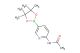 N-[5-(4,4,5,5-tetramethyl-1,3,2-dioxaborolan-2-yl)-2-pyridinyl]acetamide