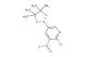 2-chloro-3-nitro-5-(4,4,5,5-tetramethyl-1,3,2-dioxaborolan-2-yl)pyridine