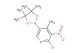 2-chloro-4-methyl-3-nitro-5-(4,4,5,5-tetramethyl-1,3,2-dioxaborolan-2-yl)pyridine