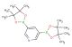 3,5-bis(4,4,5,5-tetramethyl-1,3,2-dioxaborolan-2-yl)pyridine