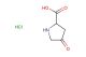 4-oxopyrrolidine-2-carboxylic acid hydrochloride