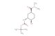tert-butyl N-[(1R,2R,5S)-5-(dimethylcarbamoyl)-2-hydroxycyclohexyl]carbamate