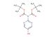 tert-butyl N-[(tert-butoxy)carbonyl]-N-(5-hydroxypyrimidin-2-yl)carbamate