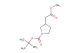 tert-butyl 3-(2-methoxy-2-oxoethyl)pyrrolidine-1-carboxylate