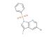 1-(benzenesulfonyl)-5-bromo-3-iodo-1H-pyrrolo[2,3-b]pyridine