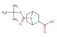 7-(tert-butoxycarbonyl)-7-azabicyclo[2.2.1]heptane-2-carboxylic acid