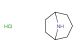 8-azabicyclo[3.2.1]octane hydrochloride