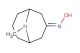 9-methyl-9-azabicyclo[3.3.1]nonan-3-one oxime